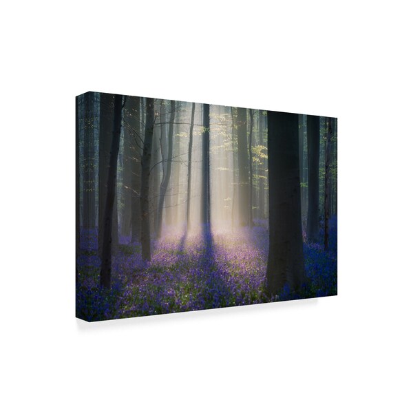 Adrian Popan 'Velvet Light' Canvas Art,16x24